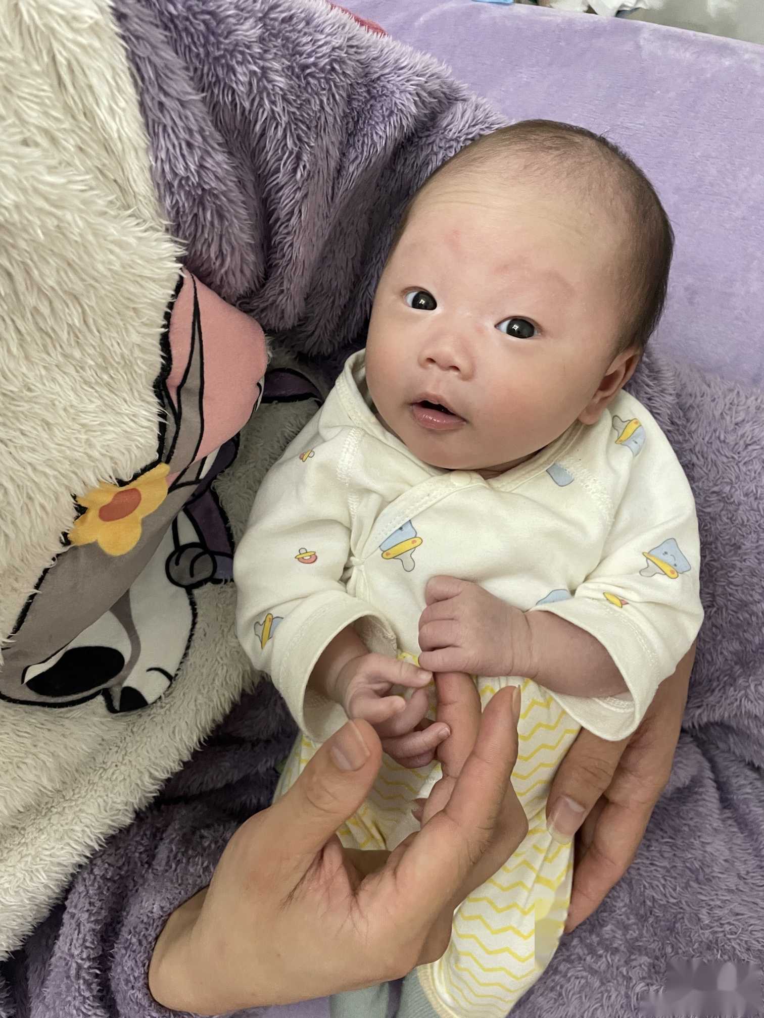上海高端代孕医院,试管婴儿可以选择性别吗？_在上海找供卵去哪里-试管 后悔