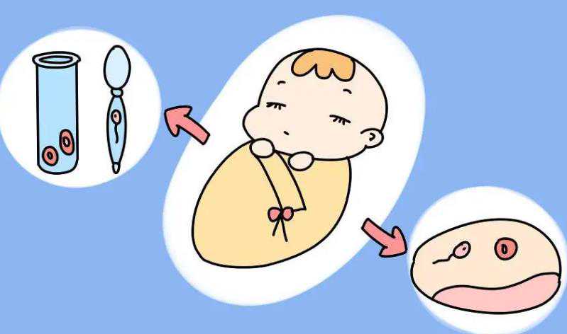 上海知名代孕公司,上海长海医院做试管婴儿成功