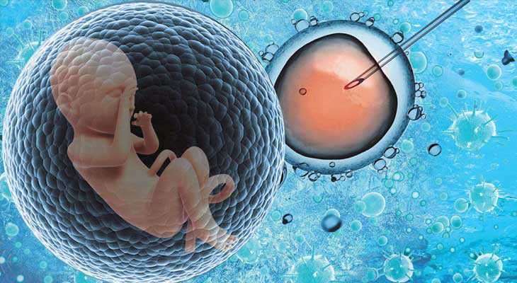 绍兴俄罗斯借卵生子_泰国试管婴儿取卵流程和取卵后注意事项